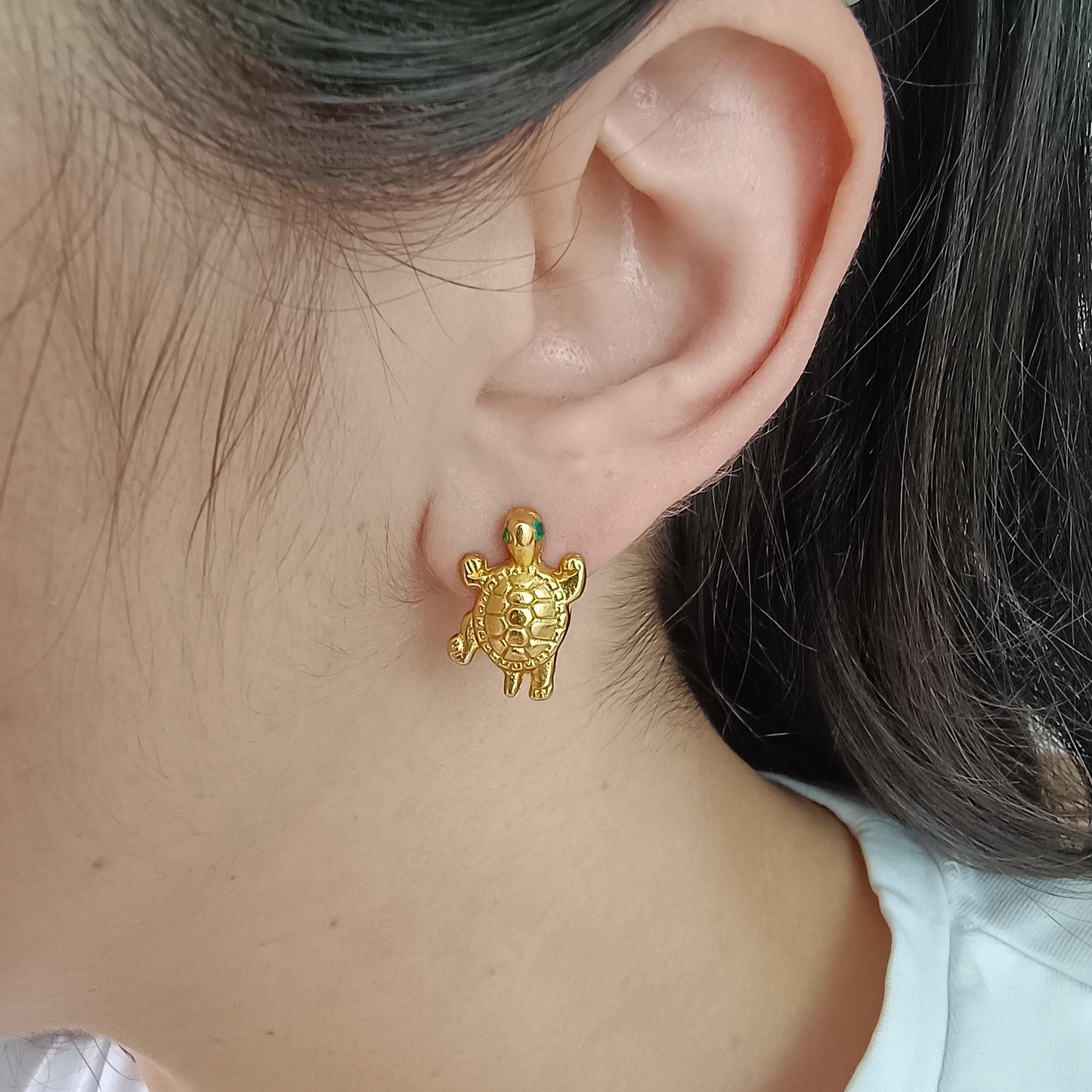 🐢 Topos Zircón Tortuga