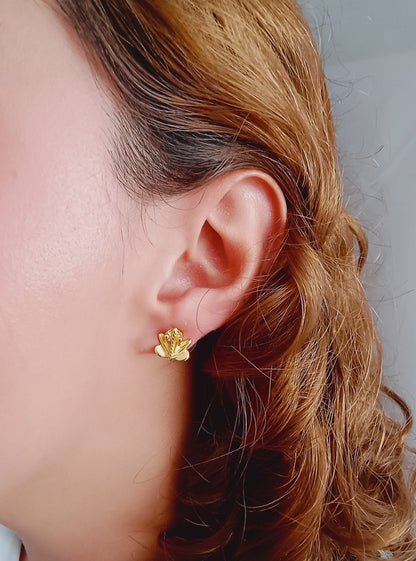 🐸Topos Rana cultura Tayrona