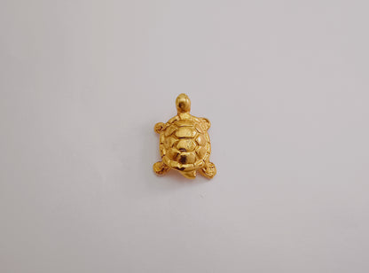 🐢 Topos Tortugas