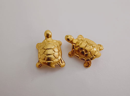 🐢 Topos Tortugas
