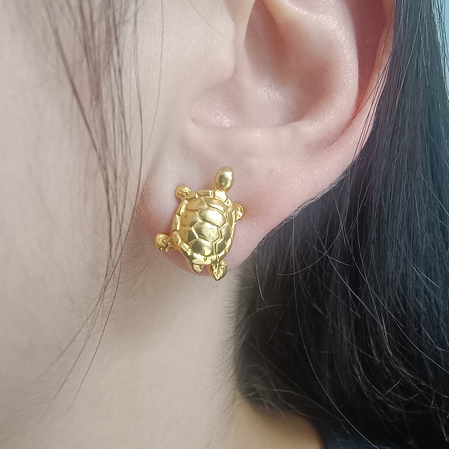 🐢 Topos Tortugas
