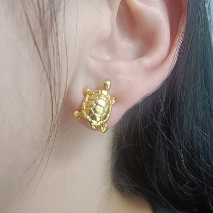 🐢 Topos Tortugas