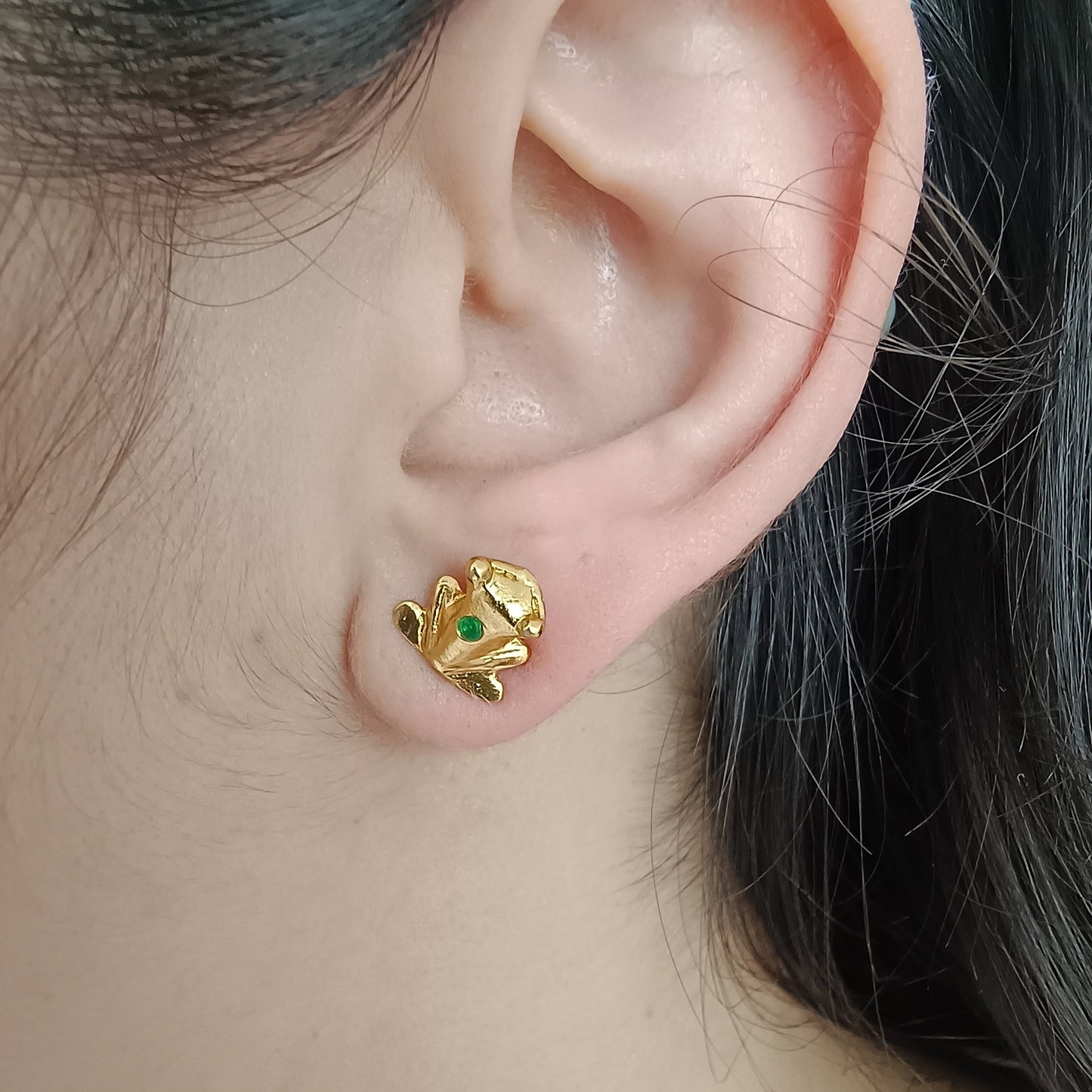 🐸 Topos Zircón Rana Muisca