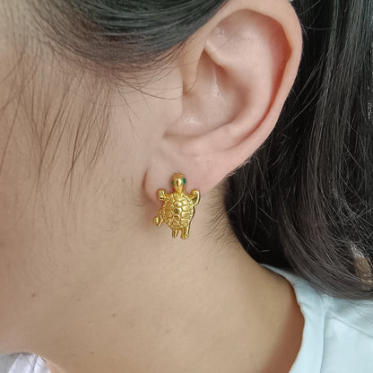 🐢 Topos Zircón Tortuga